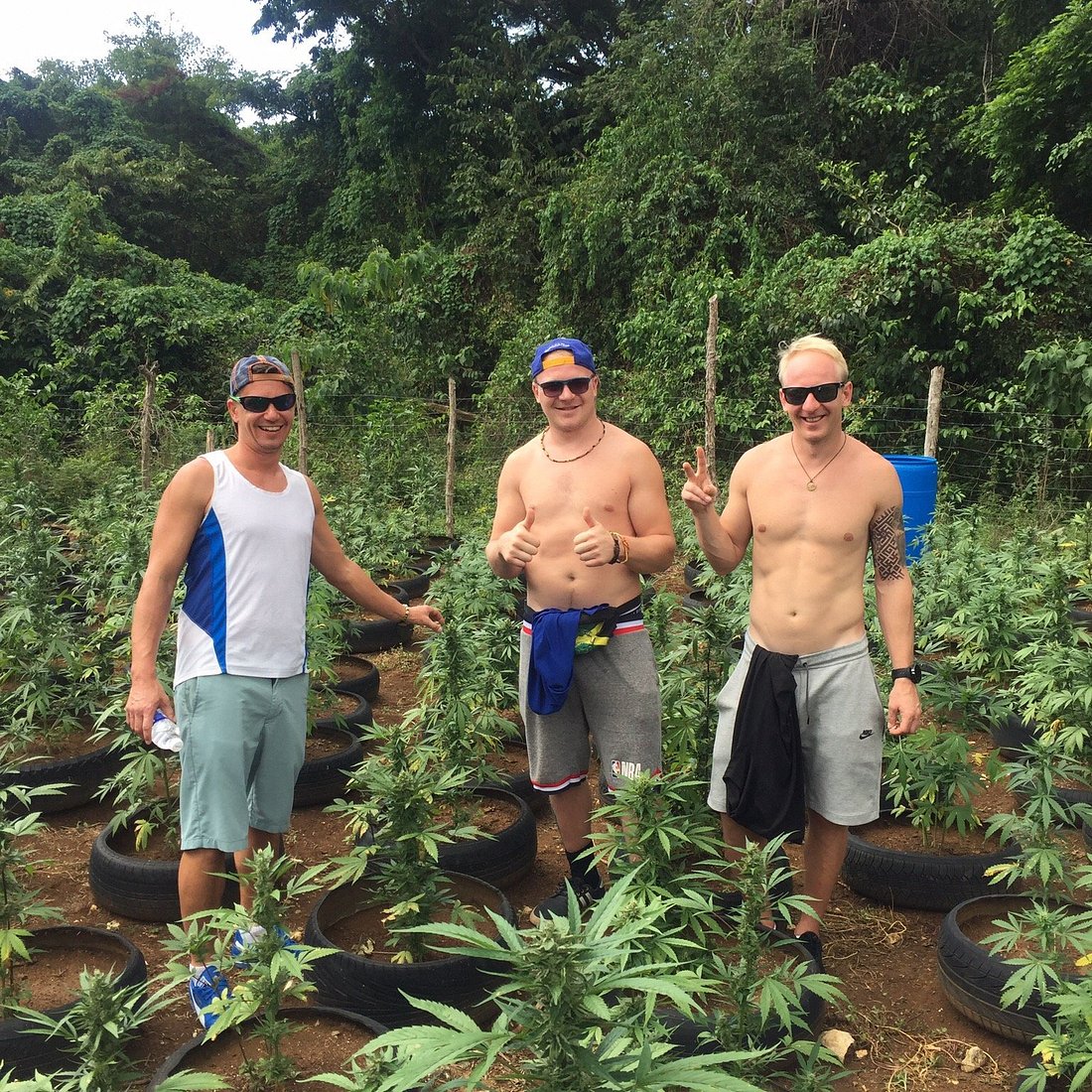 Montego Bay Marijuana Farm Tour