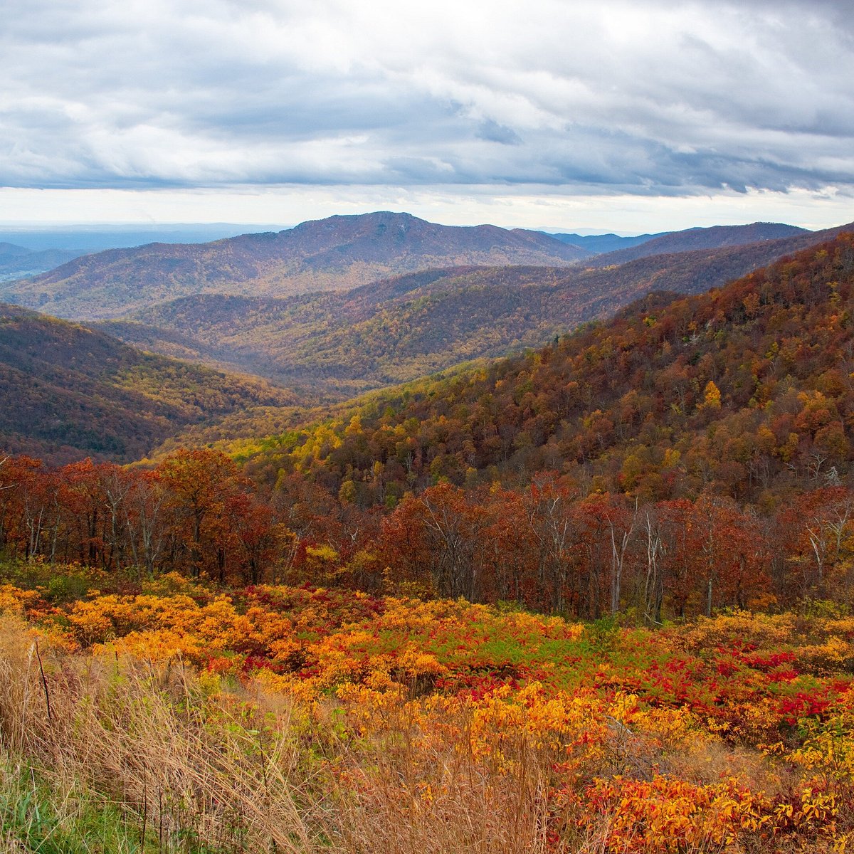 Shenandoah National Park Day Trip From Dc