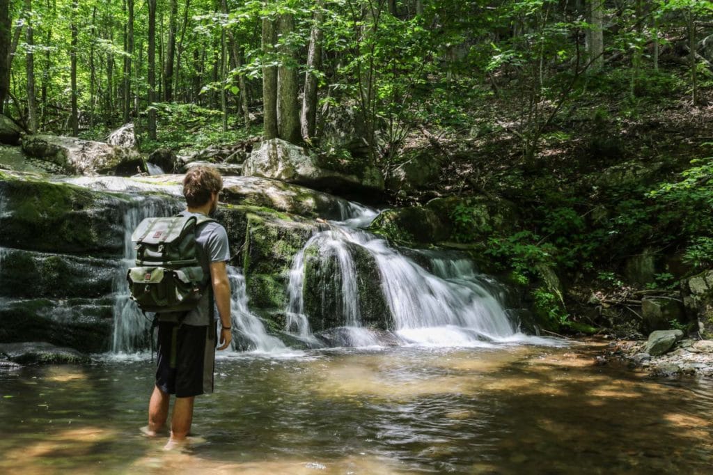 Your experience at Shenandoah National Park Day Trip From Dc