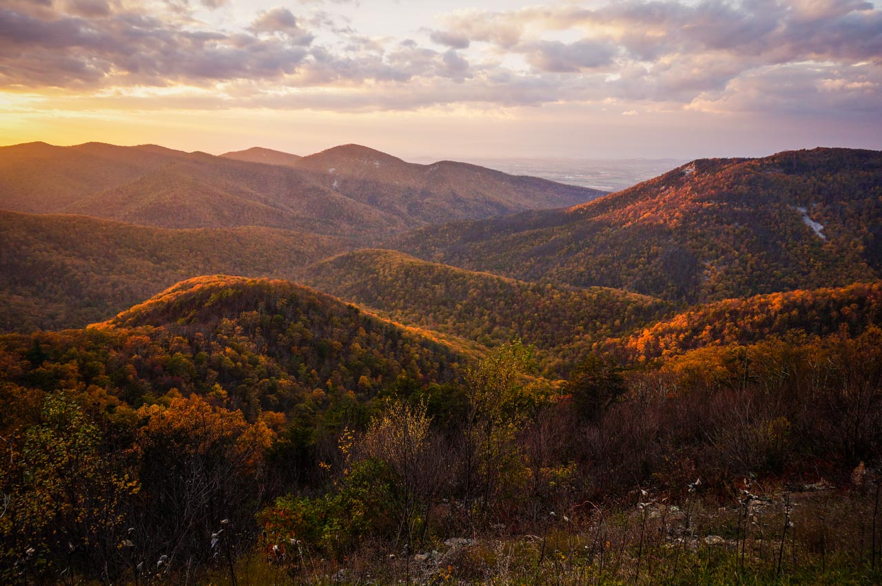 Shenandoah National Park Day Trip from DC