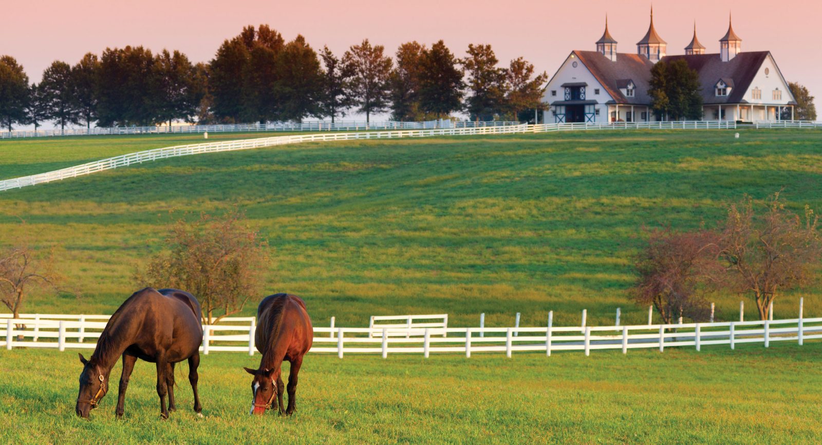 Ranch Stables