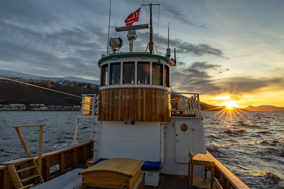 Tromso Fishing Tours in Arctic Waters