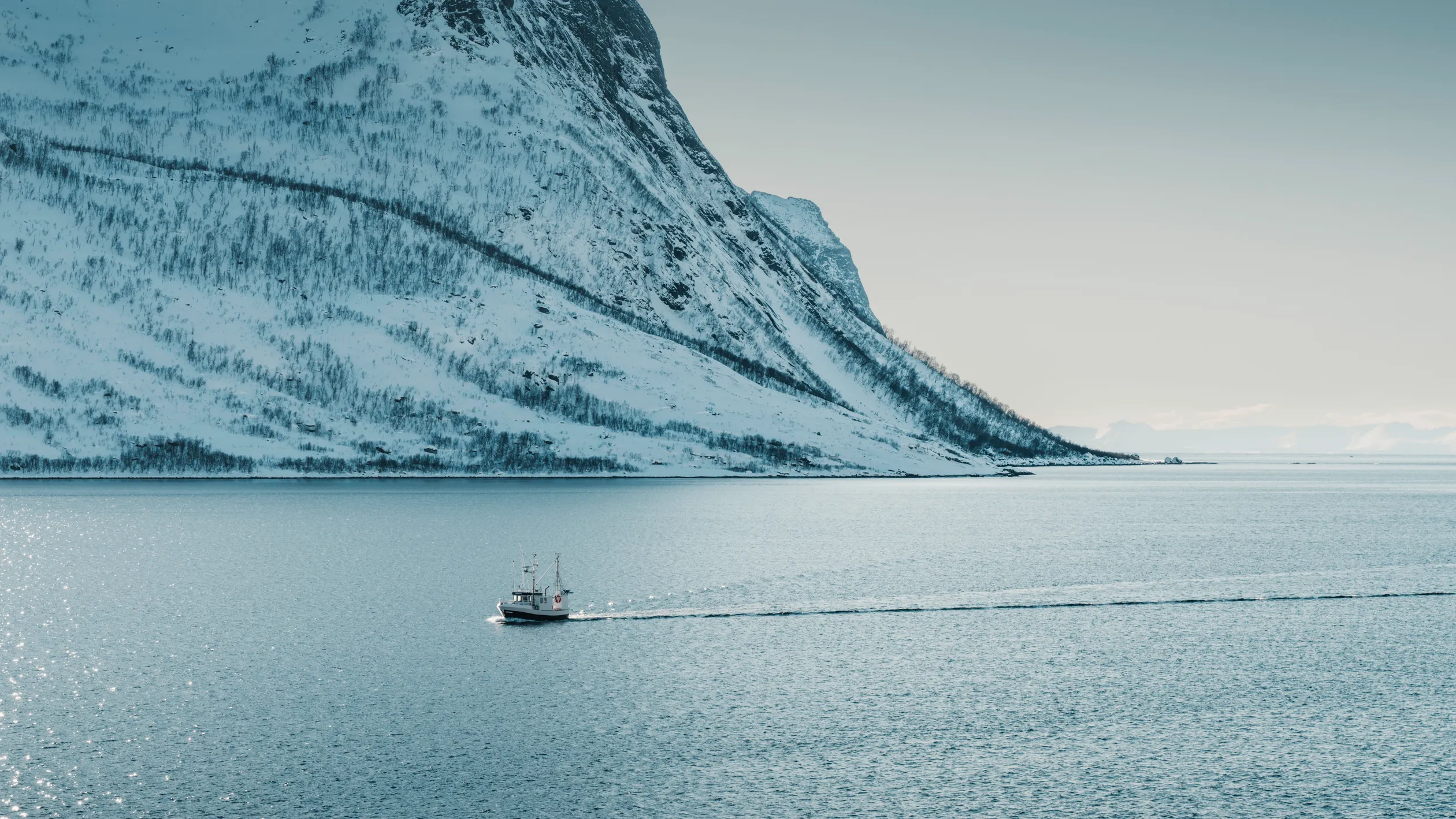 Your experience at Tromso Fishing Tours