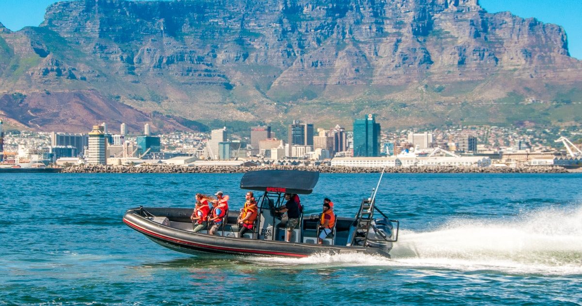 Ocean Safari Cape Town