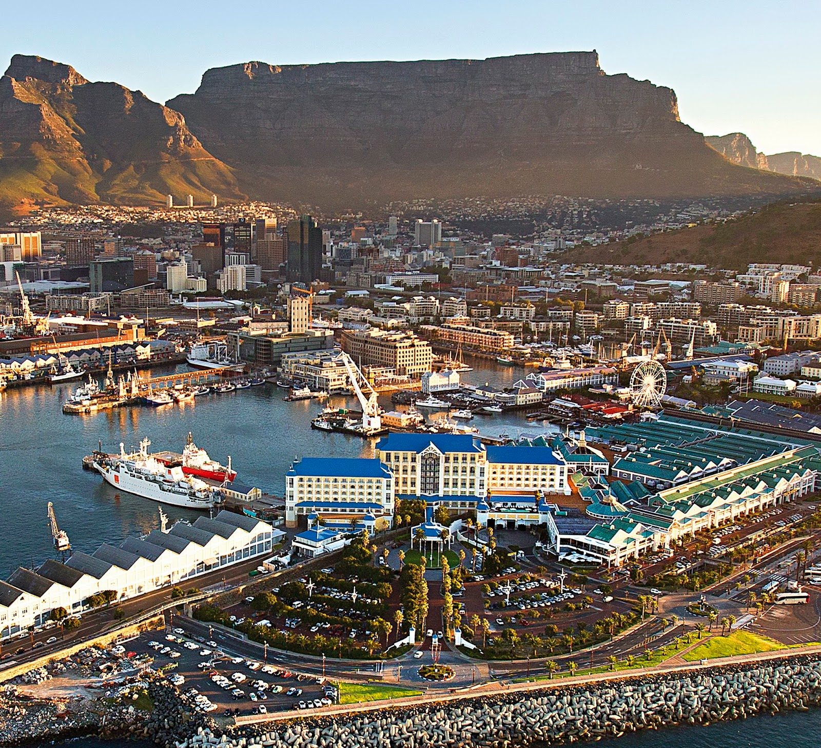Ocean Safari Cape Town Boat Experience