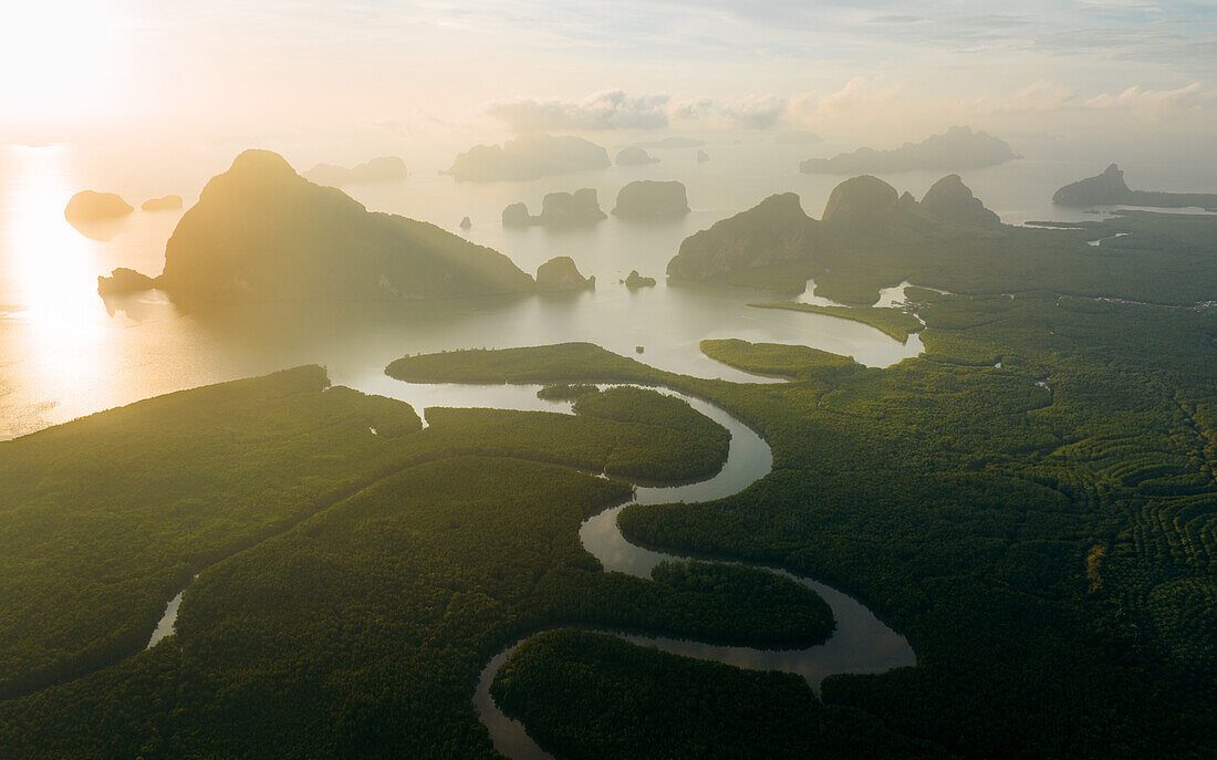 Mangrove Ecosystems