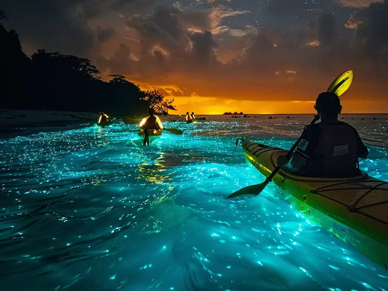 Your experience at Phang Nga Bay Bioluminescent Plankton Tour