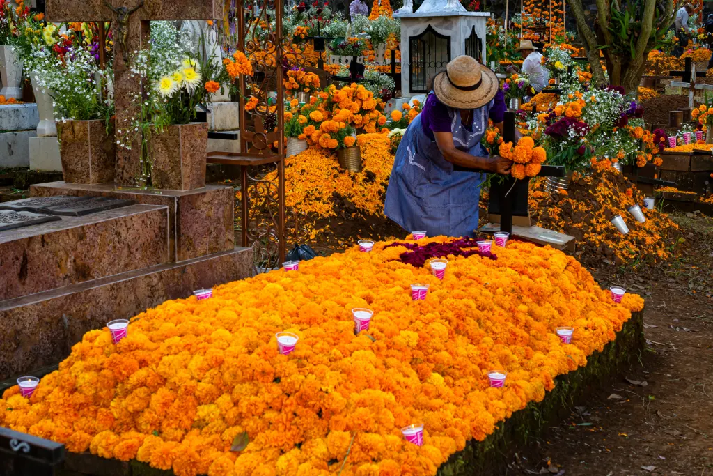 Your experience at Mixquic Day of the Dead Tour
