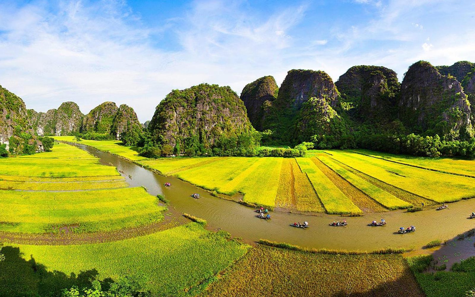 Rice Field Path
