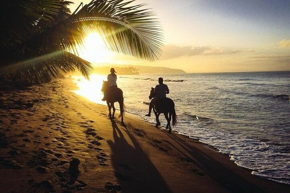 Horseback Riding at Macao Beach