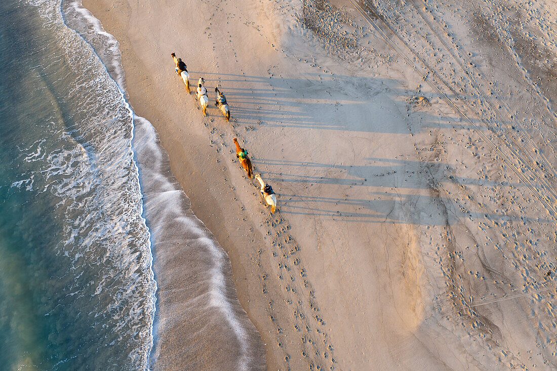 Horseback Riding at Macao Beach Experience