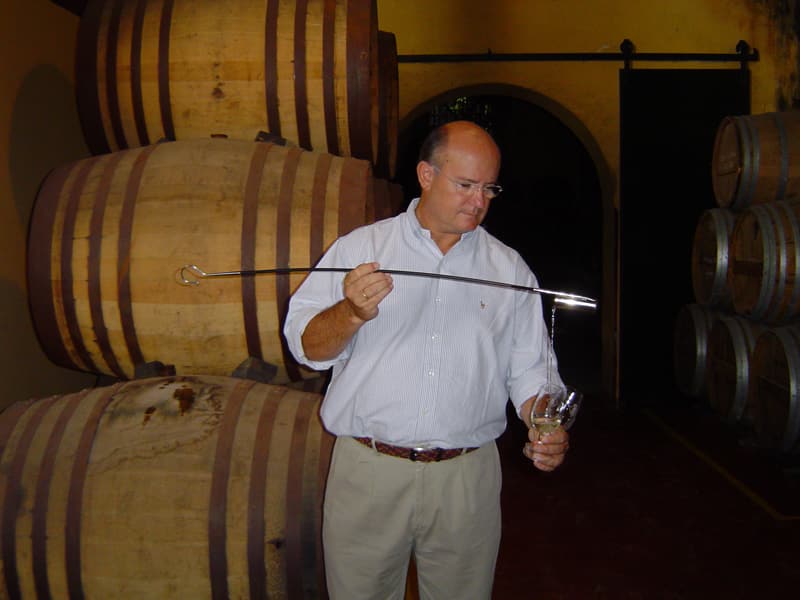 Your experience at Sherry Wine Tour Jerez