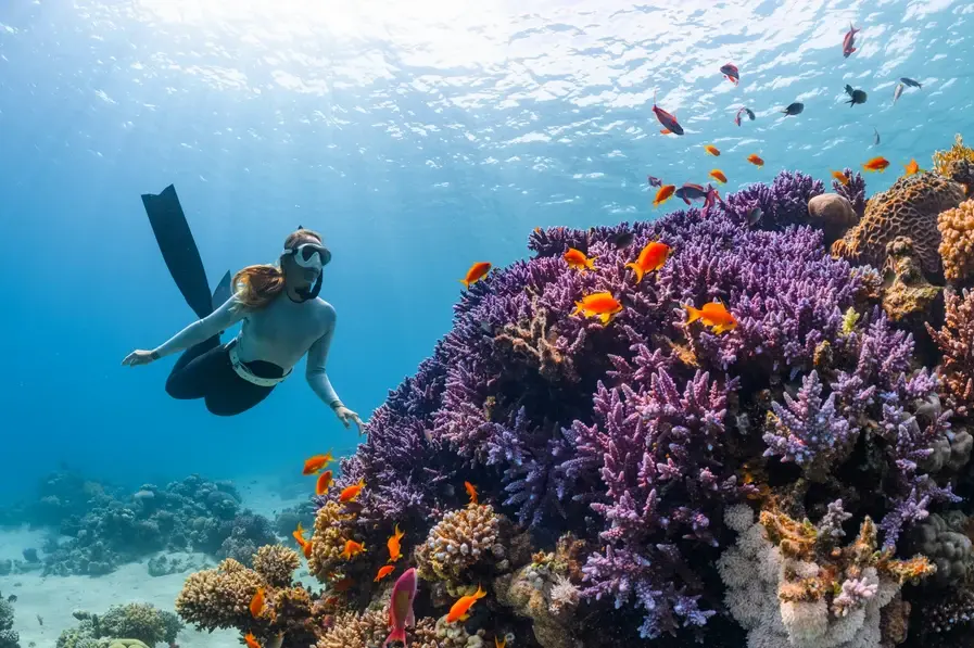 Snorkeling