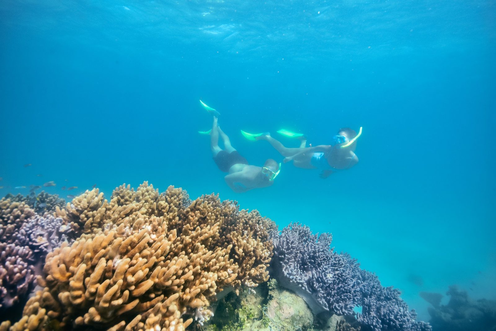 Coral Reef Flats