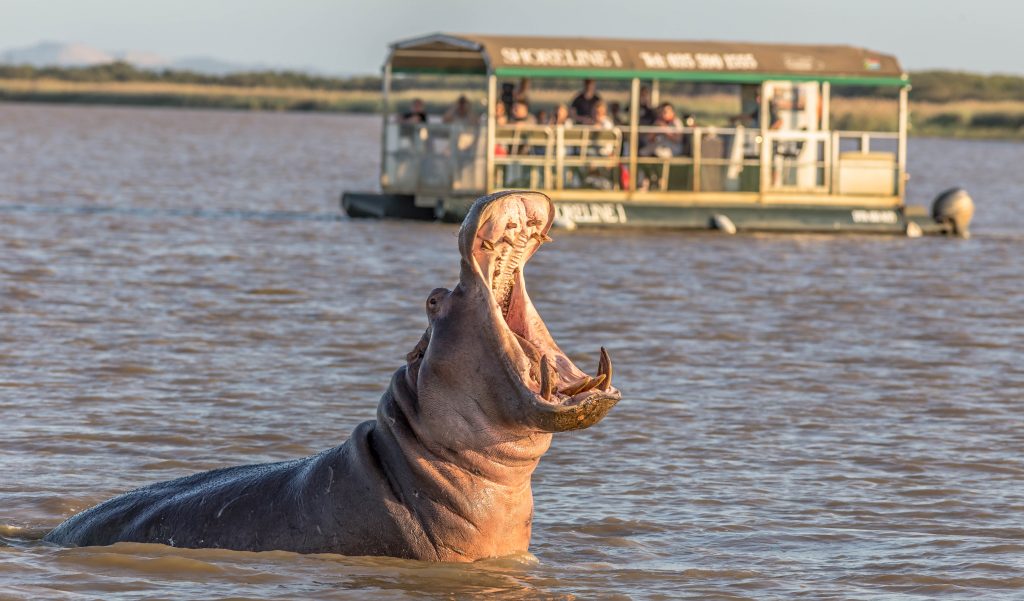 St Lucia Hippo Cruise