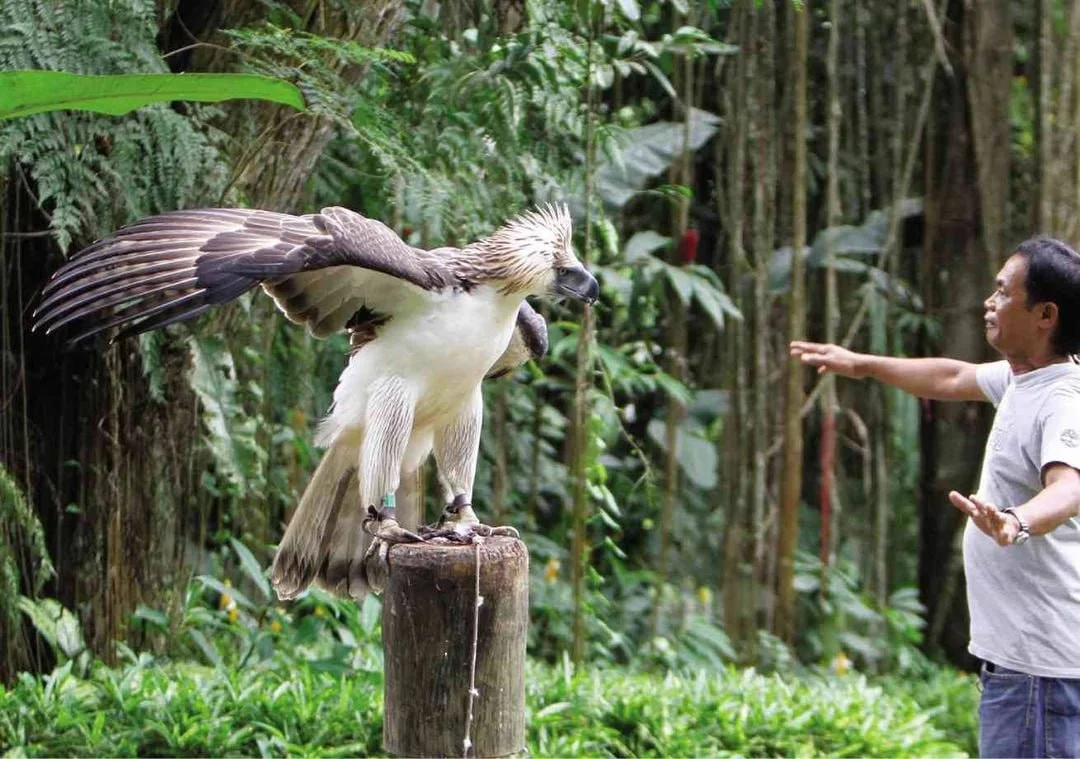 Philippine Eagle Center
