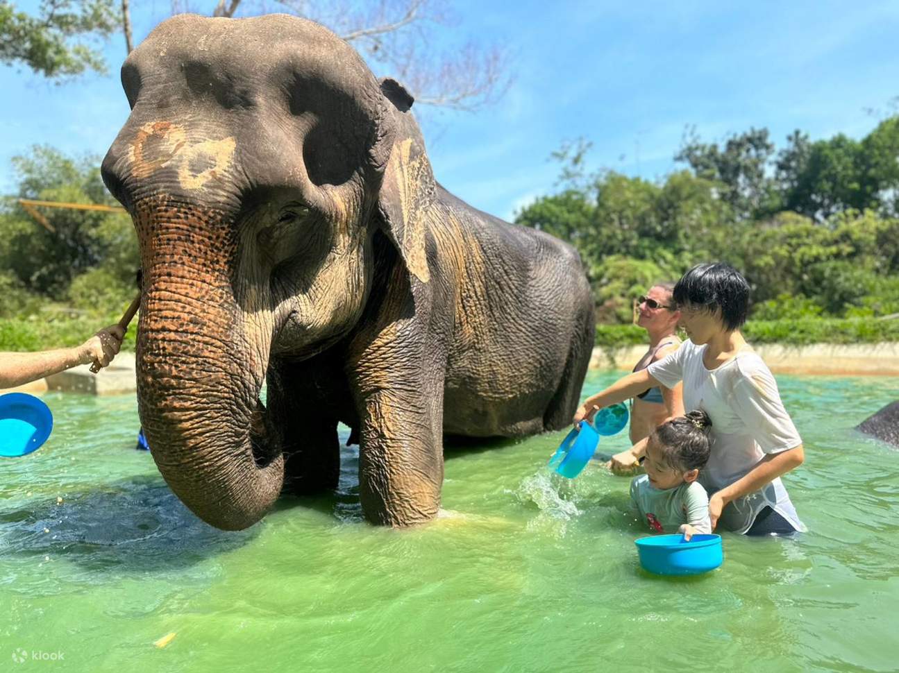Phuket Elephant Beach Walk