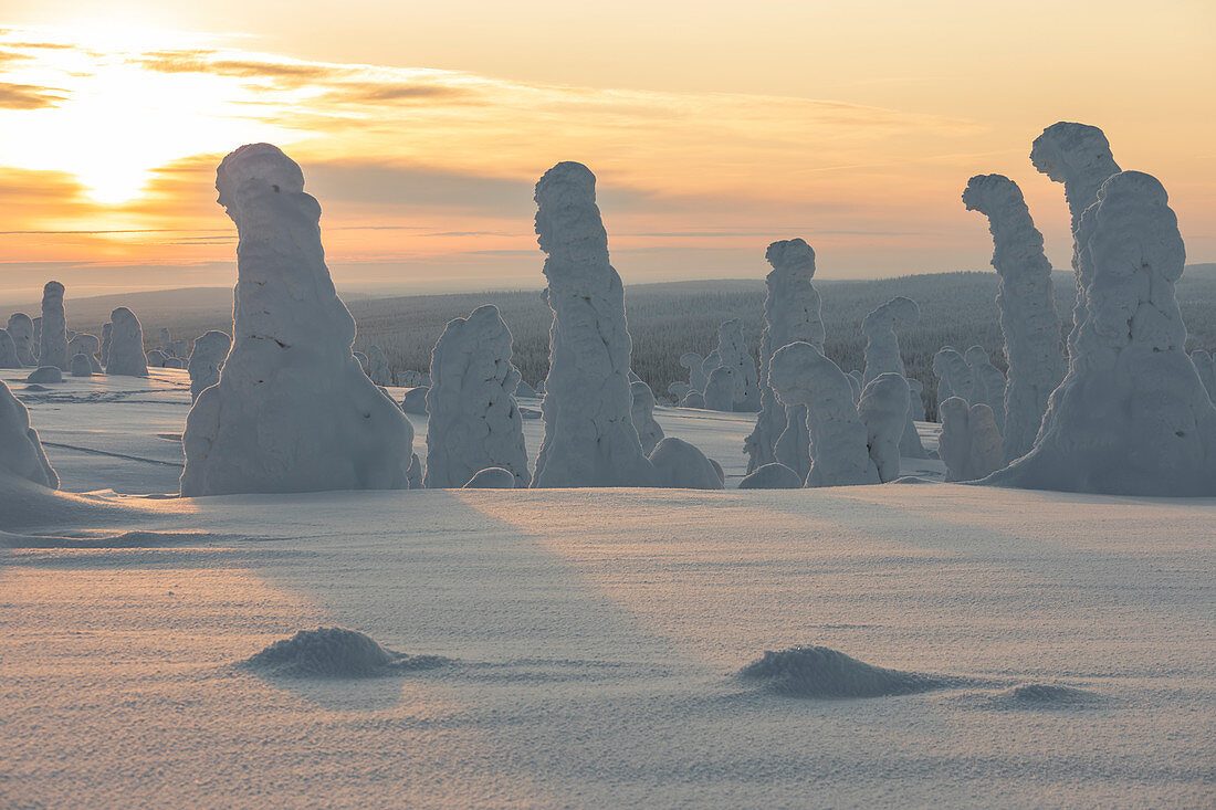Riisitunturi Day Trip from Rovaniemi