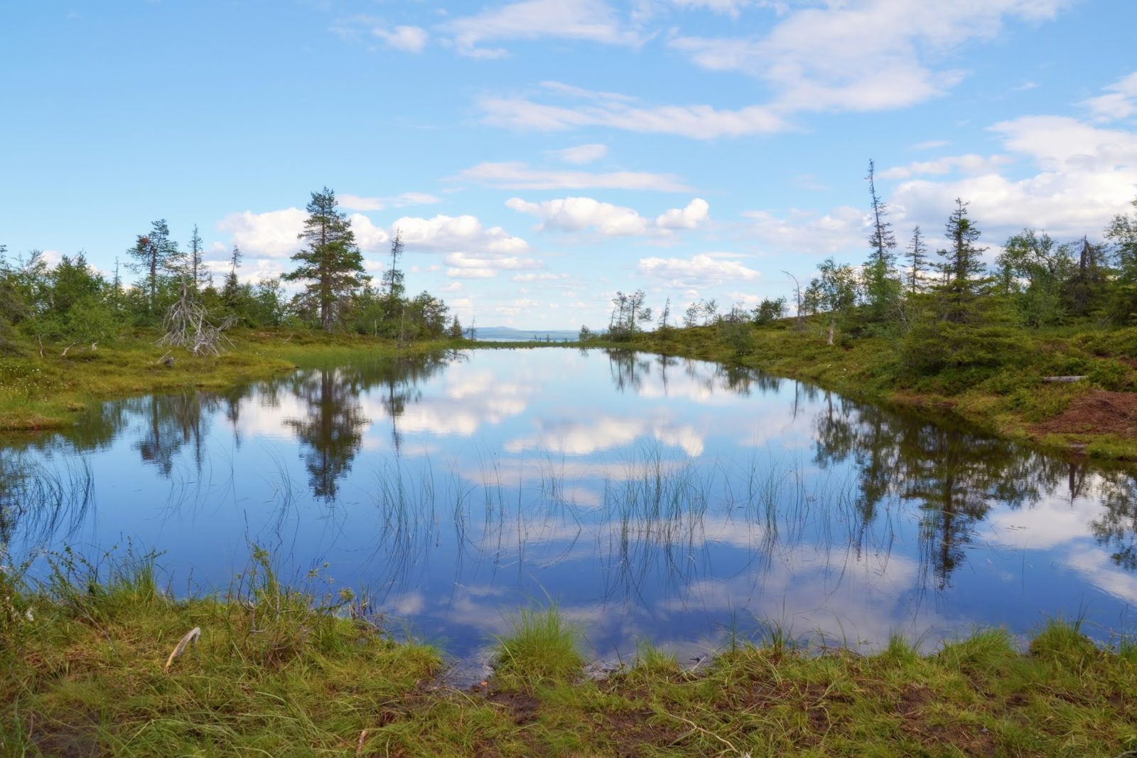 Ikkunalampi Pond