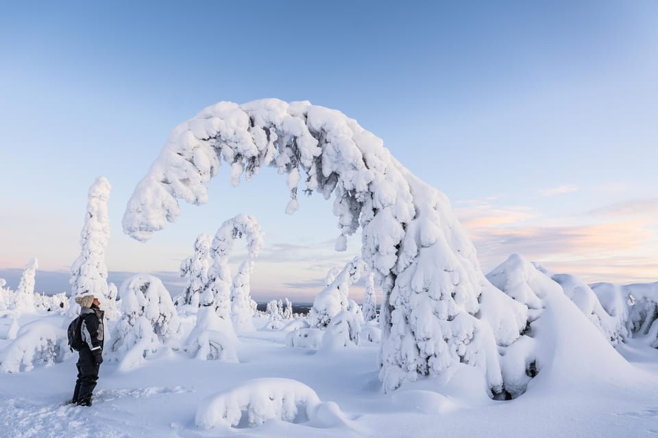 Riisitunturi Day Trip From Rovaniemi