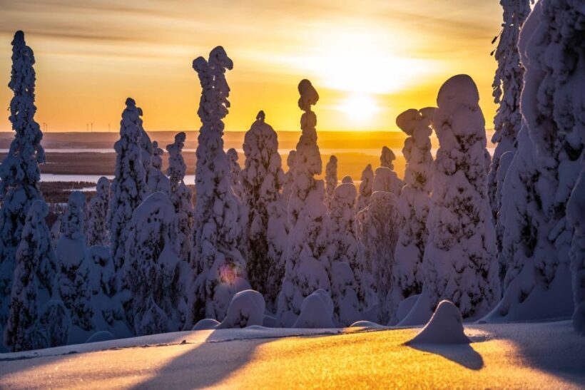 Riisitunturi Summit