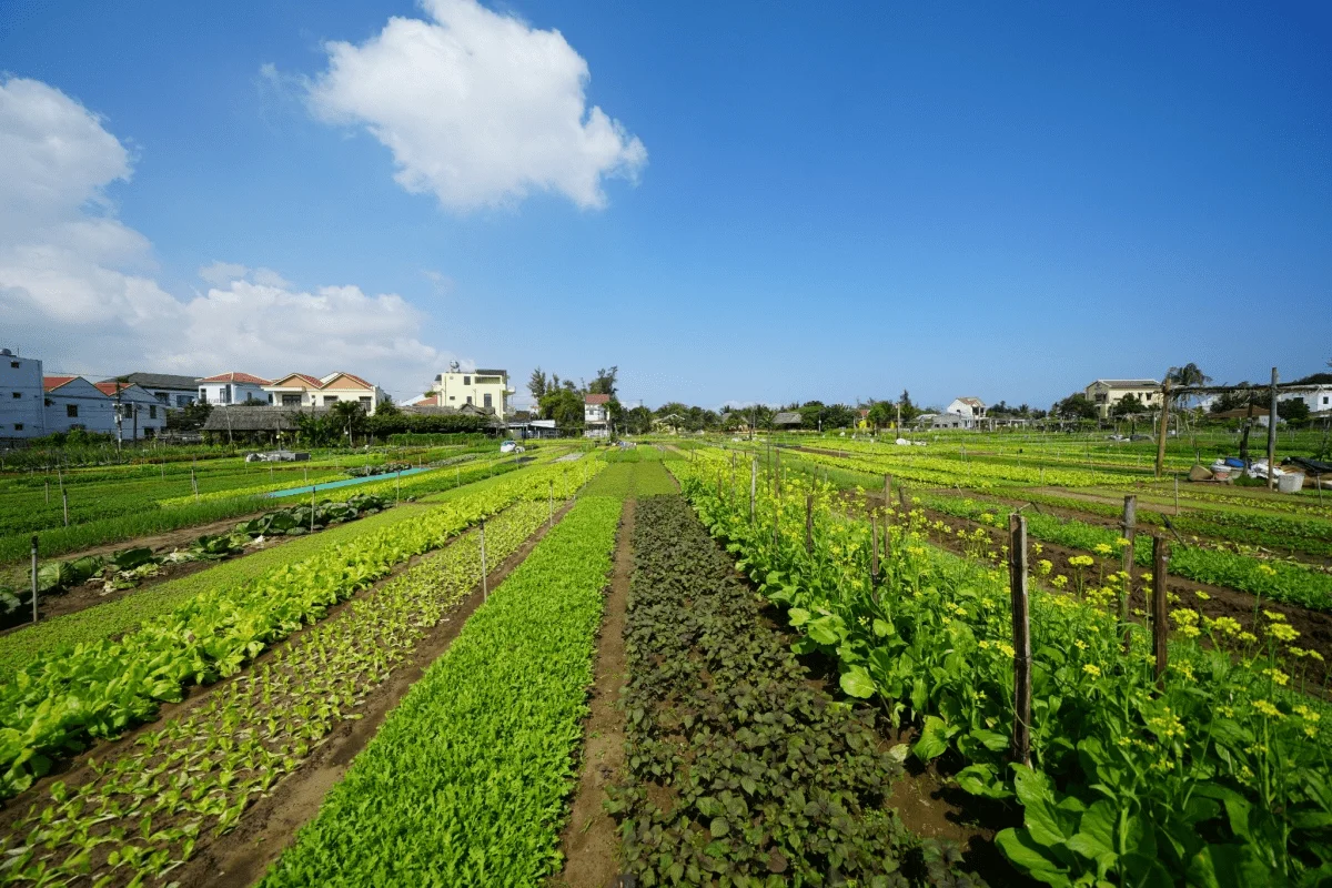 Arrival and Garden Tour