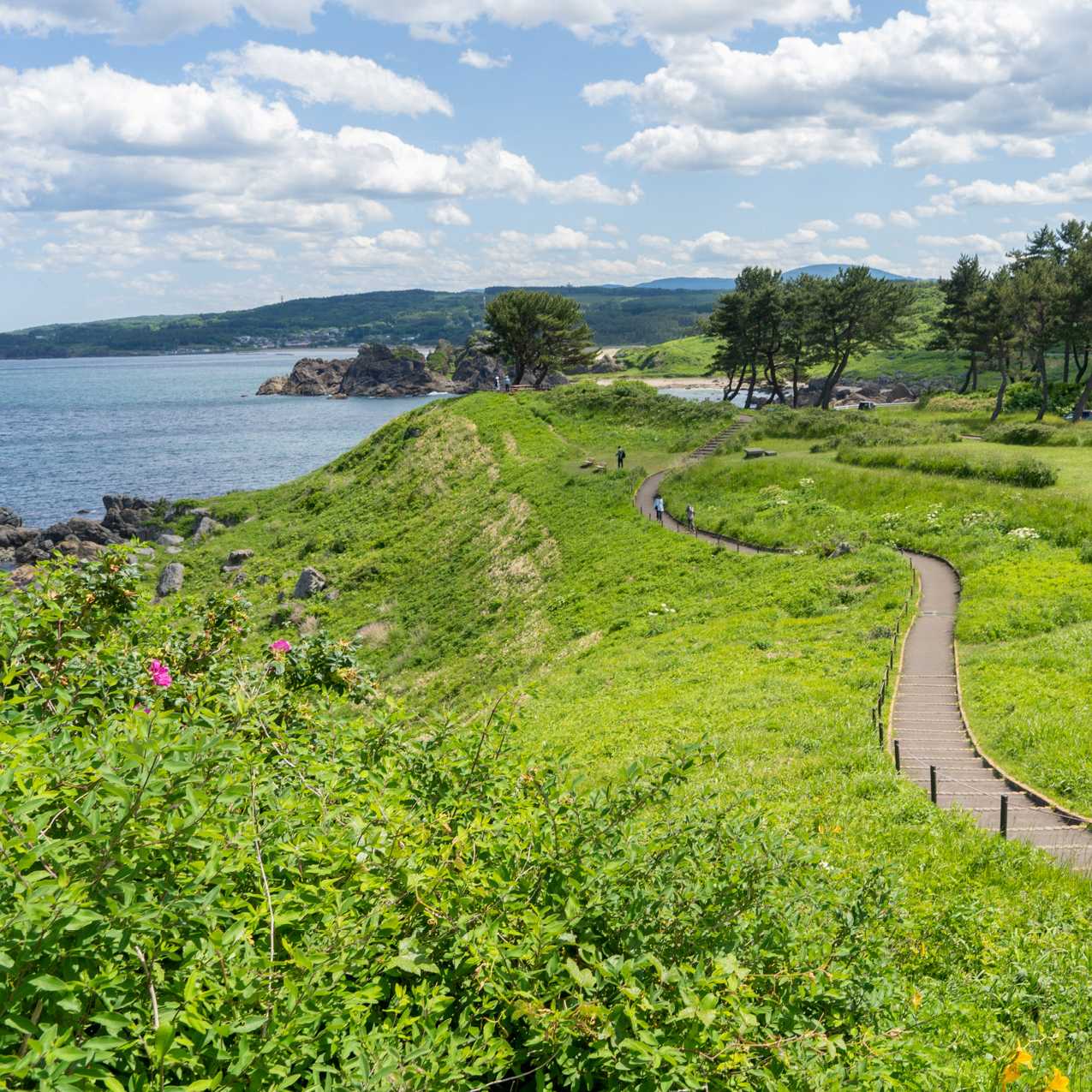 Tony Knowles Coastal Trail