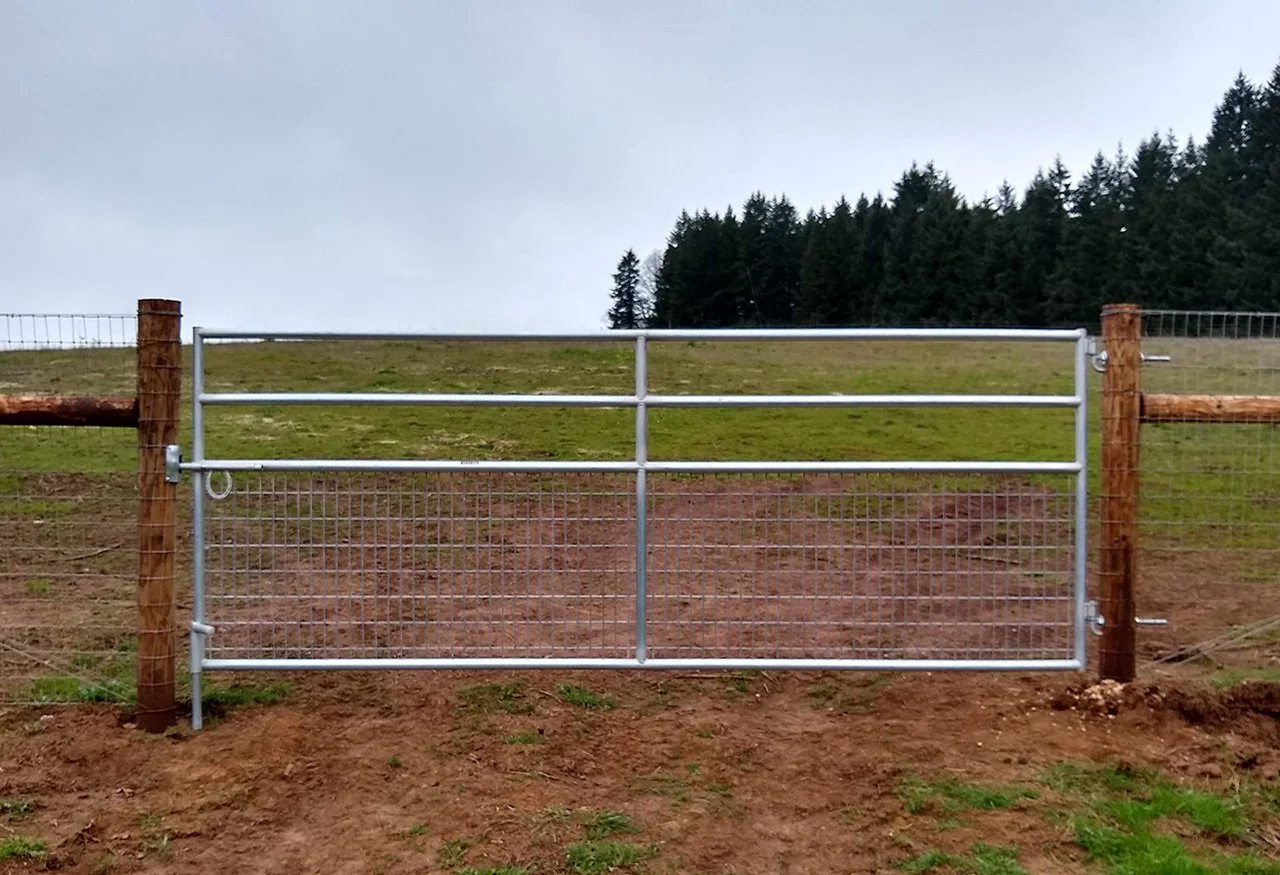 Provides a clear sightline for the sheepdog demonstration Wicklow performance. This zone is designed for safety and photography.