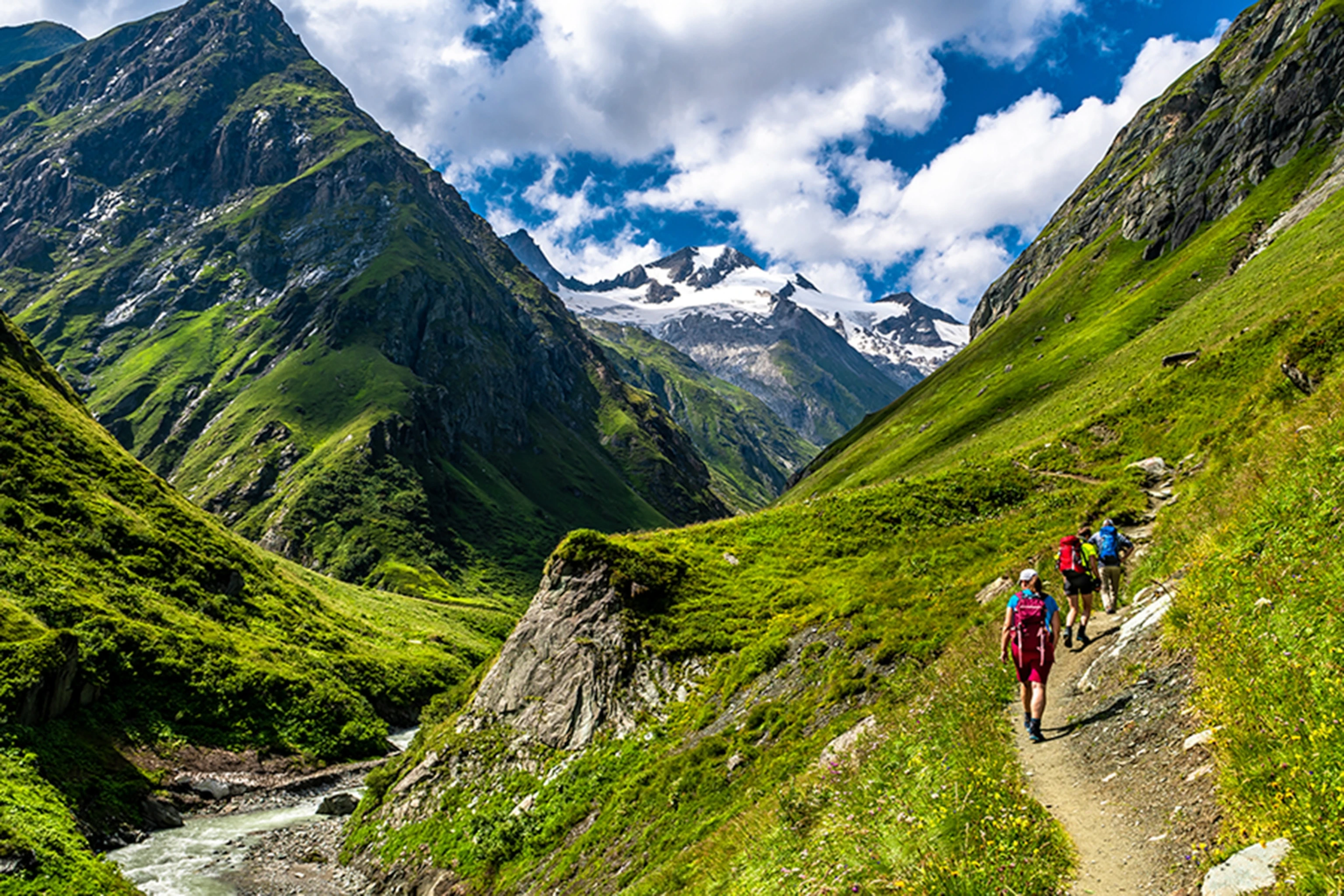 Summer Hiking Trails