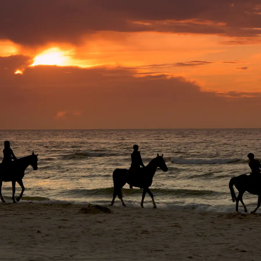 Aguadilla Beach Horseback Riding
