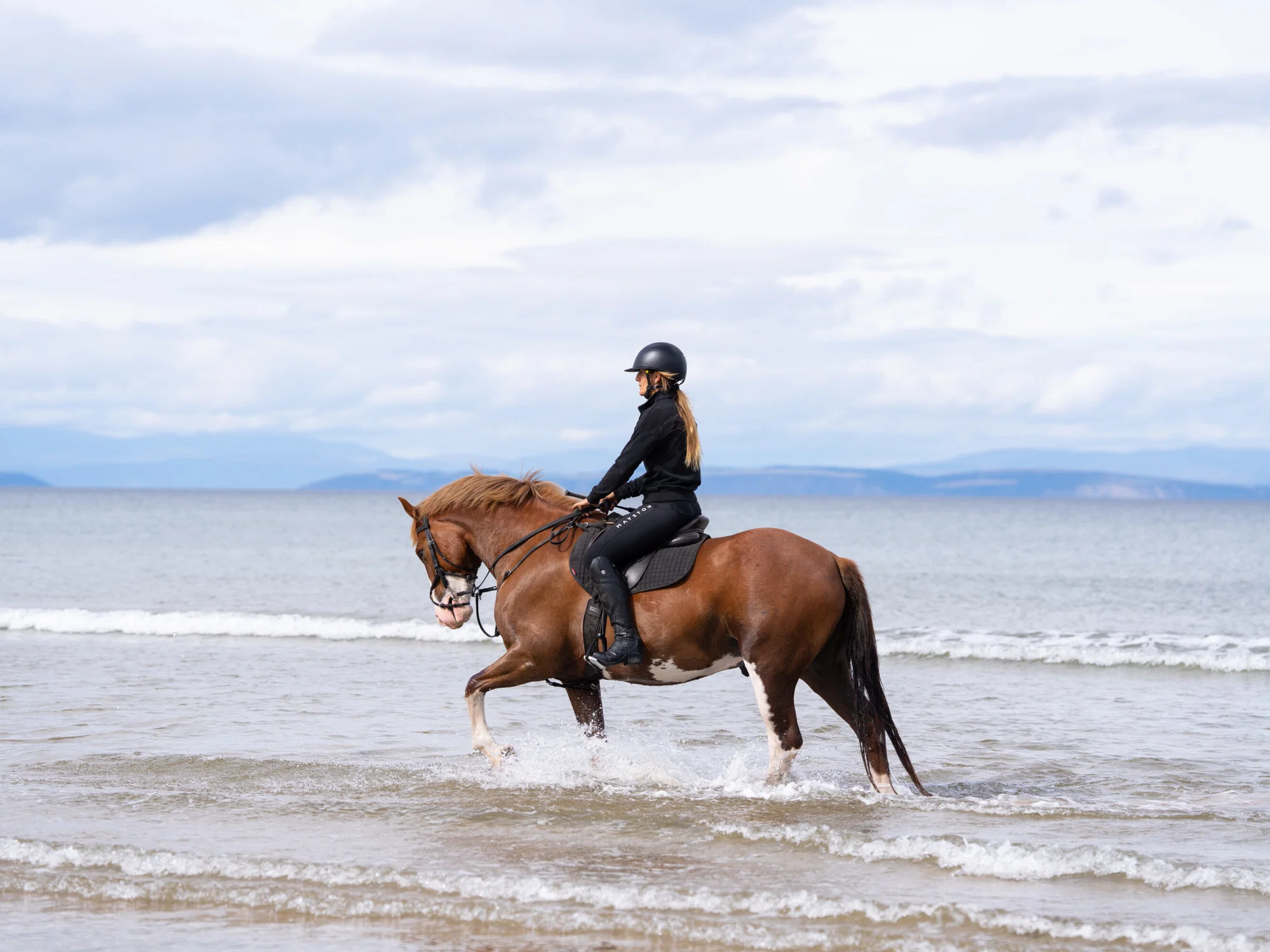 Your experience at Aguadilla Beach Horseback Riding