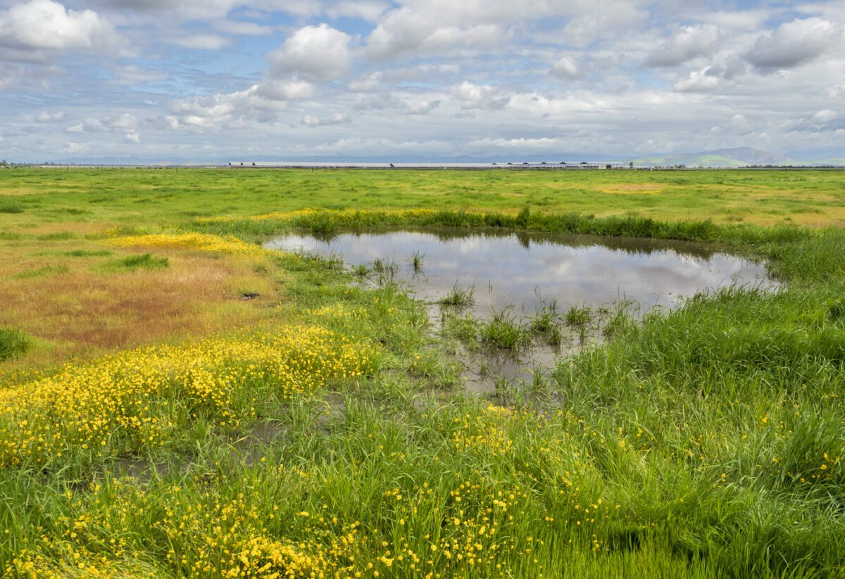 Riverlands Nature Reserve