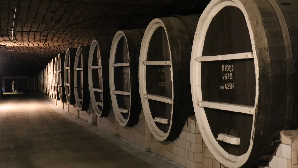 Your experience at Dealu Mare Wine Tour