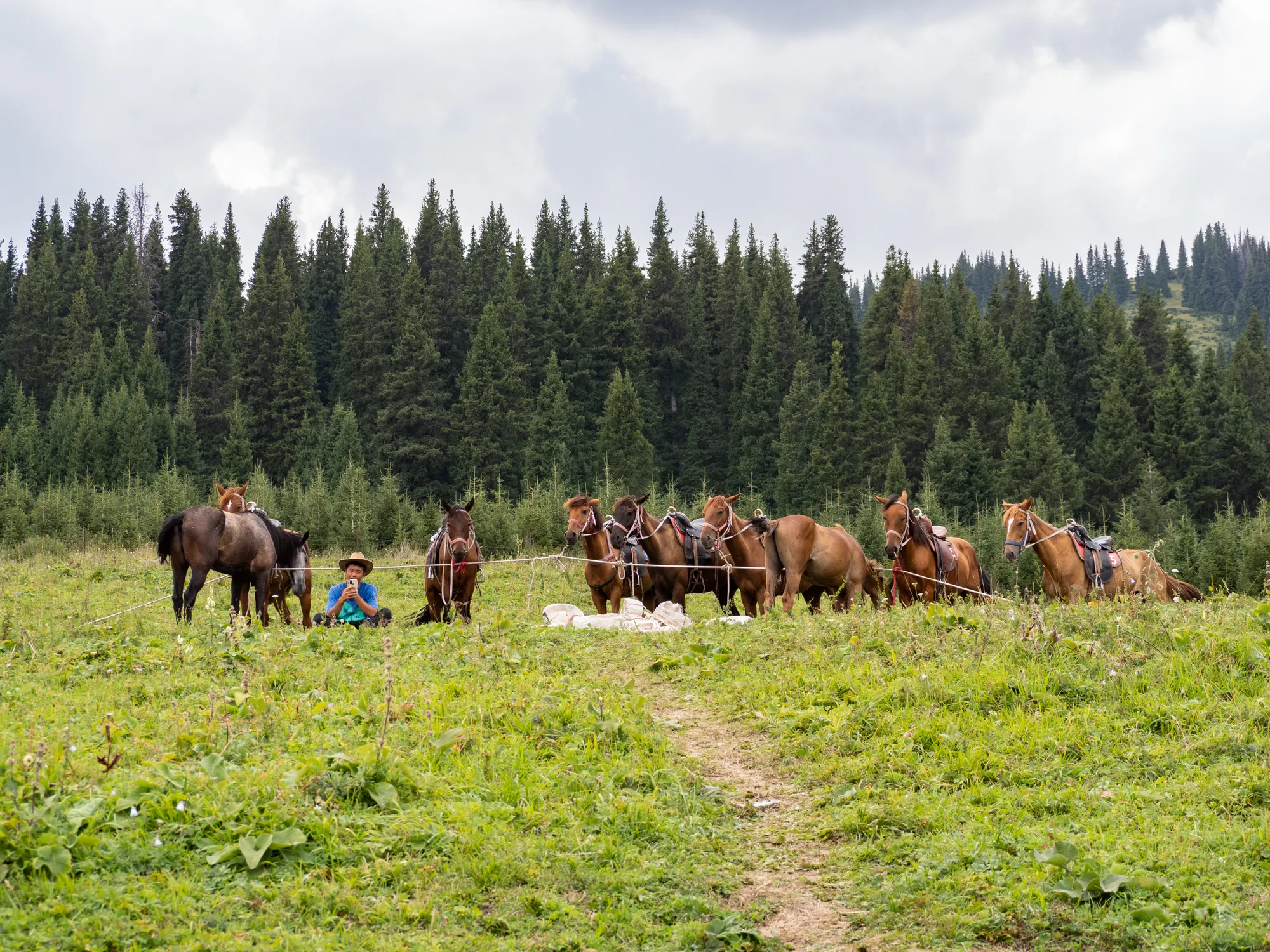 Your experience at Bansko Horse Riding