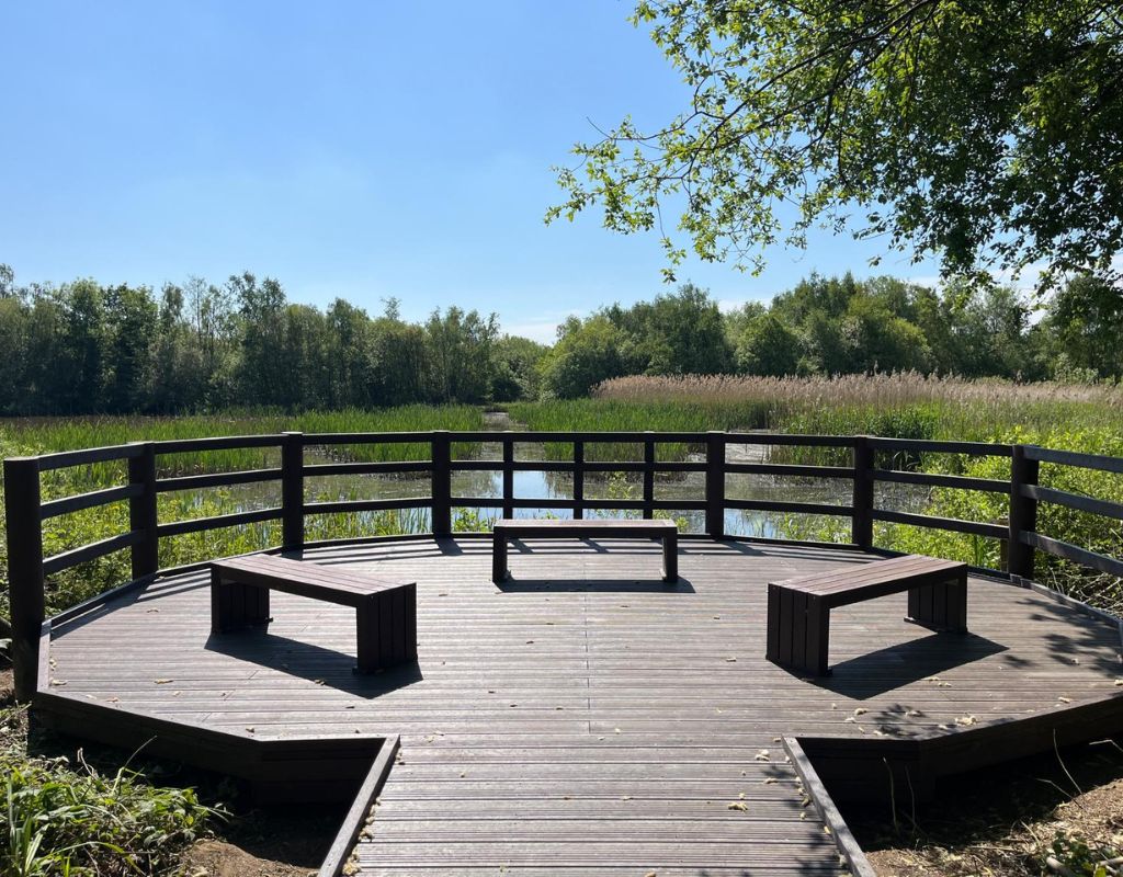 Boardwalk Viewing Area