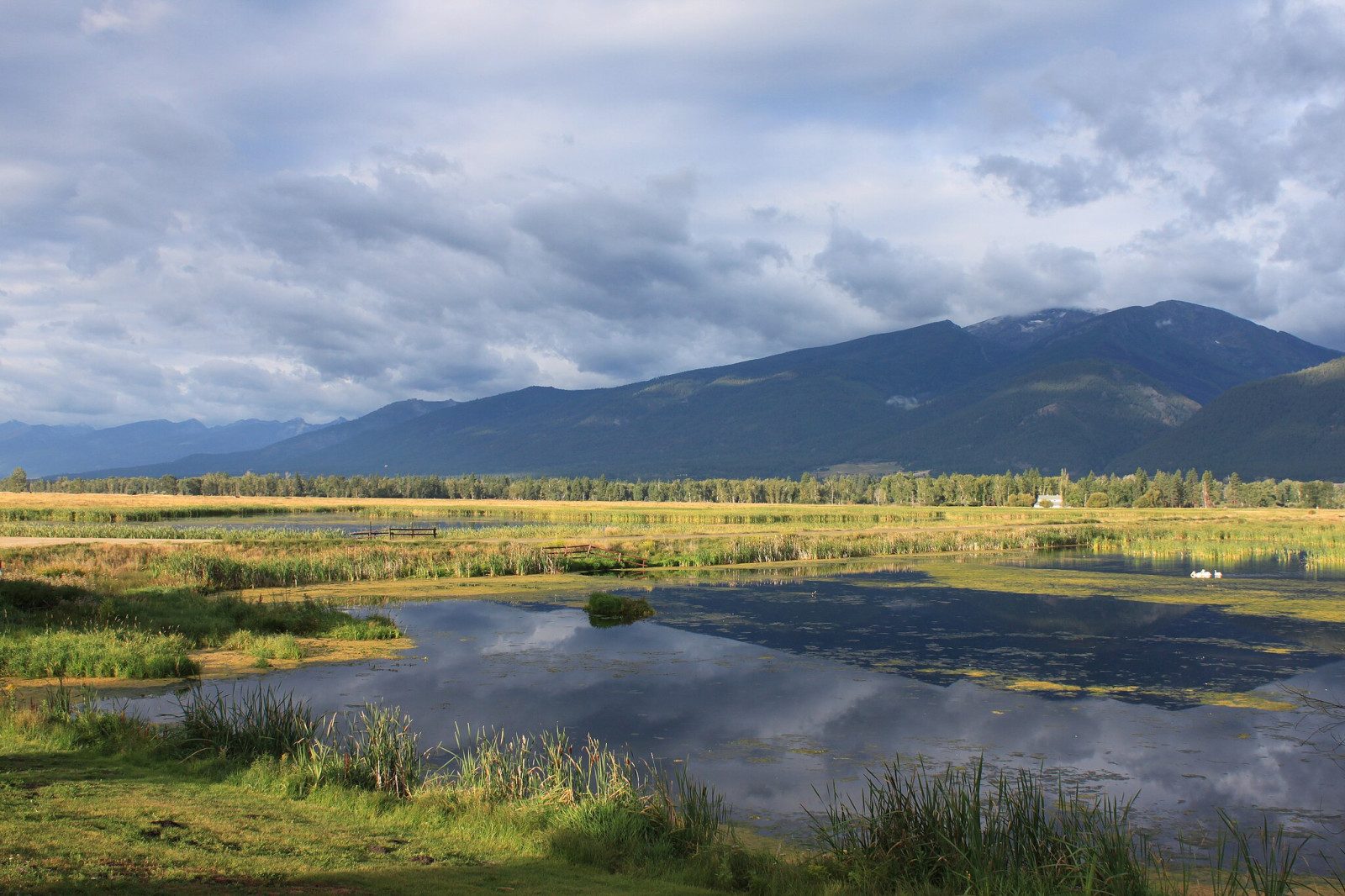 Refuge Wetlands