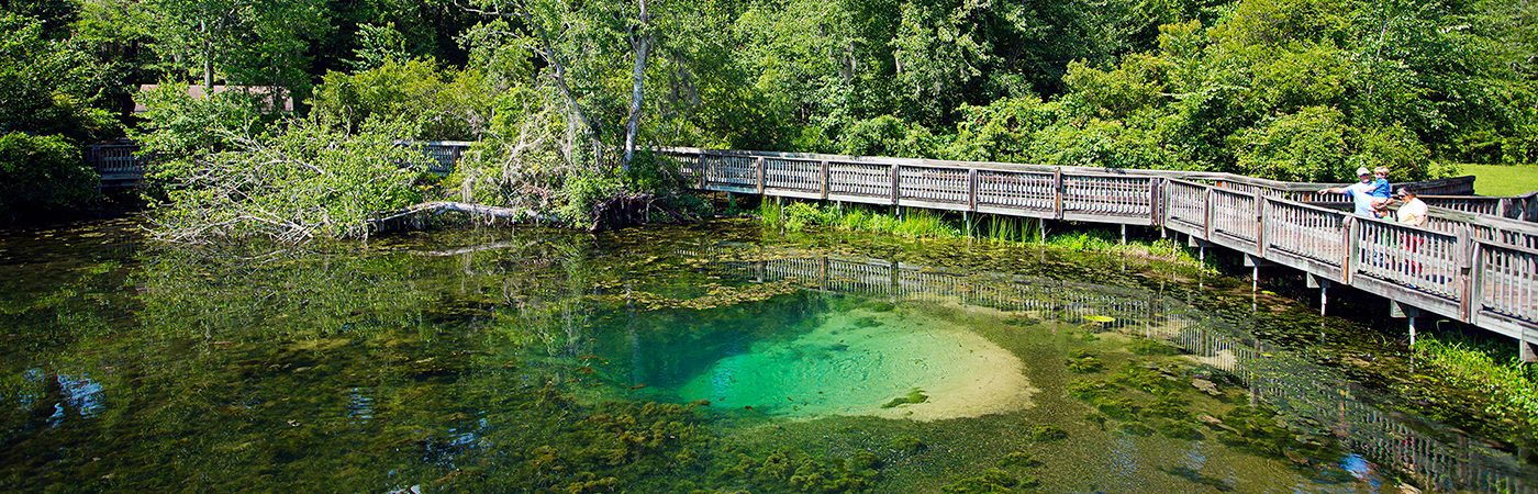 Magnolia Springs