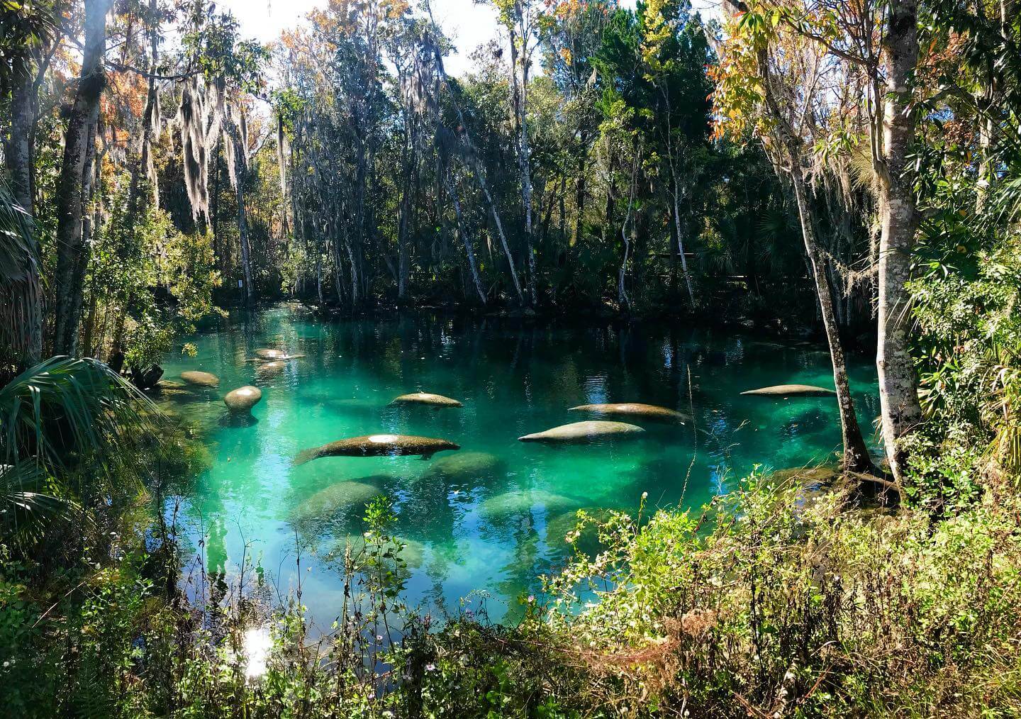 Three Sisters Springs Basin