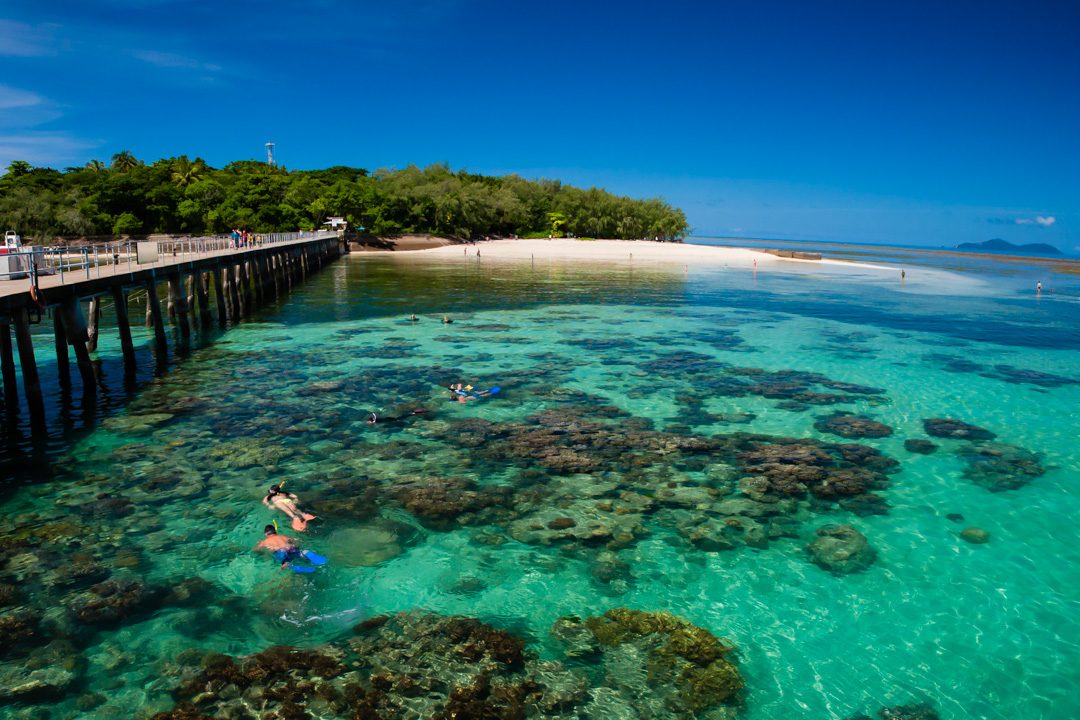 Reef Snorkeling