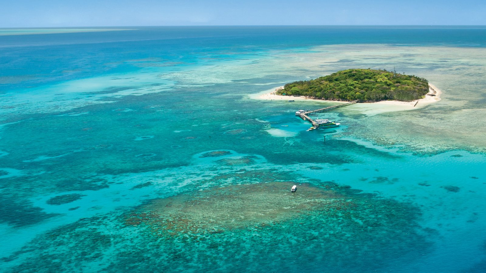 Fitzroy and Green Island Tour