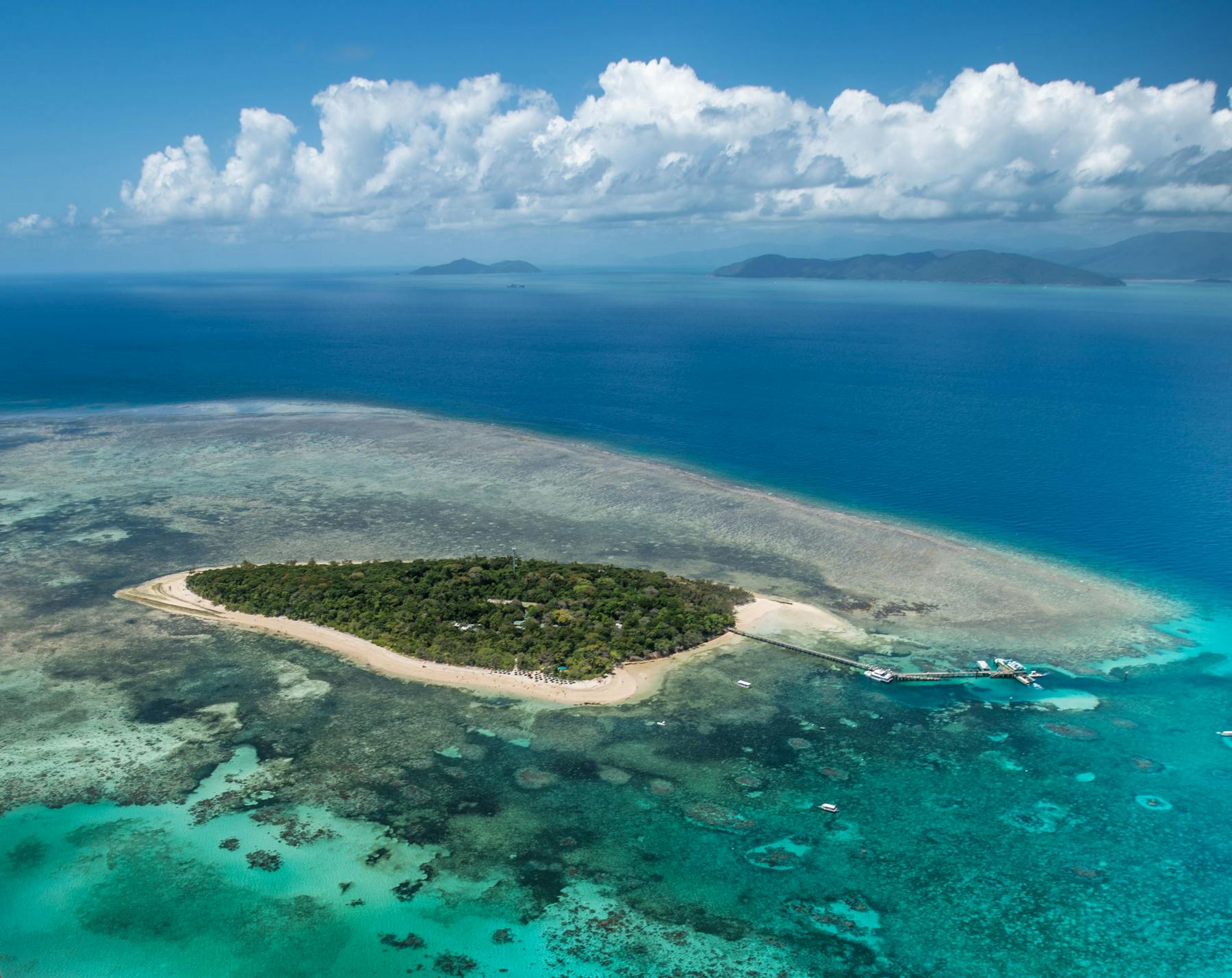 Fitzroy and Green Island Tour Experience