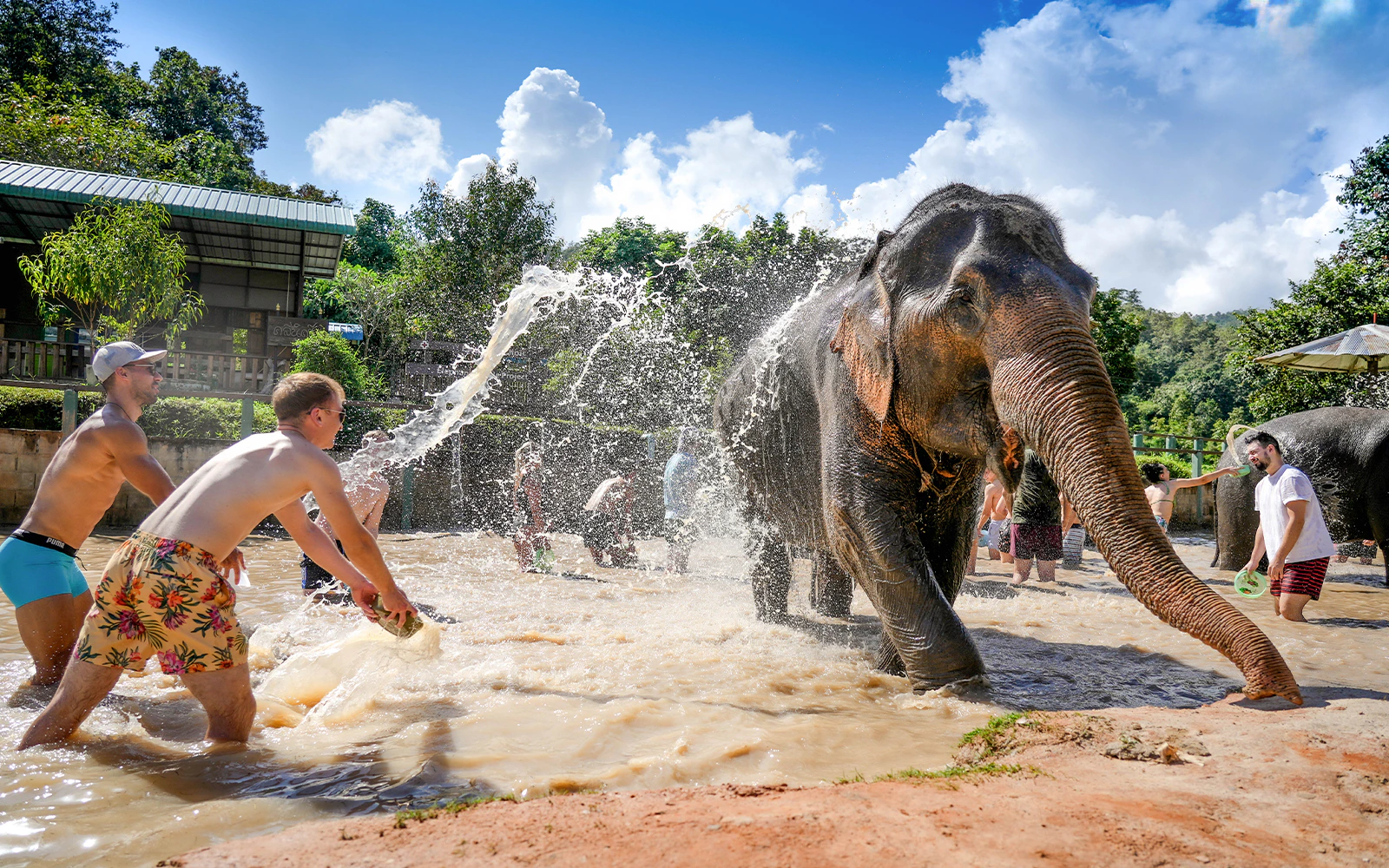 Your experience at Ethical Elephant Sanctuary Phuket