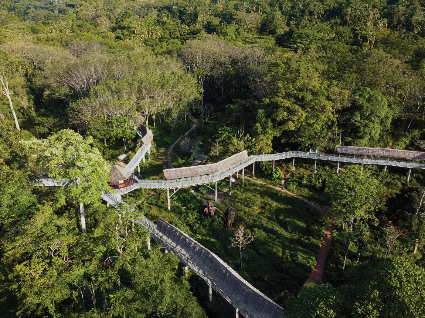 Elephant Observation Deck