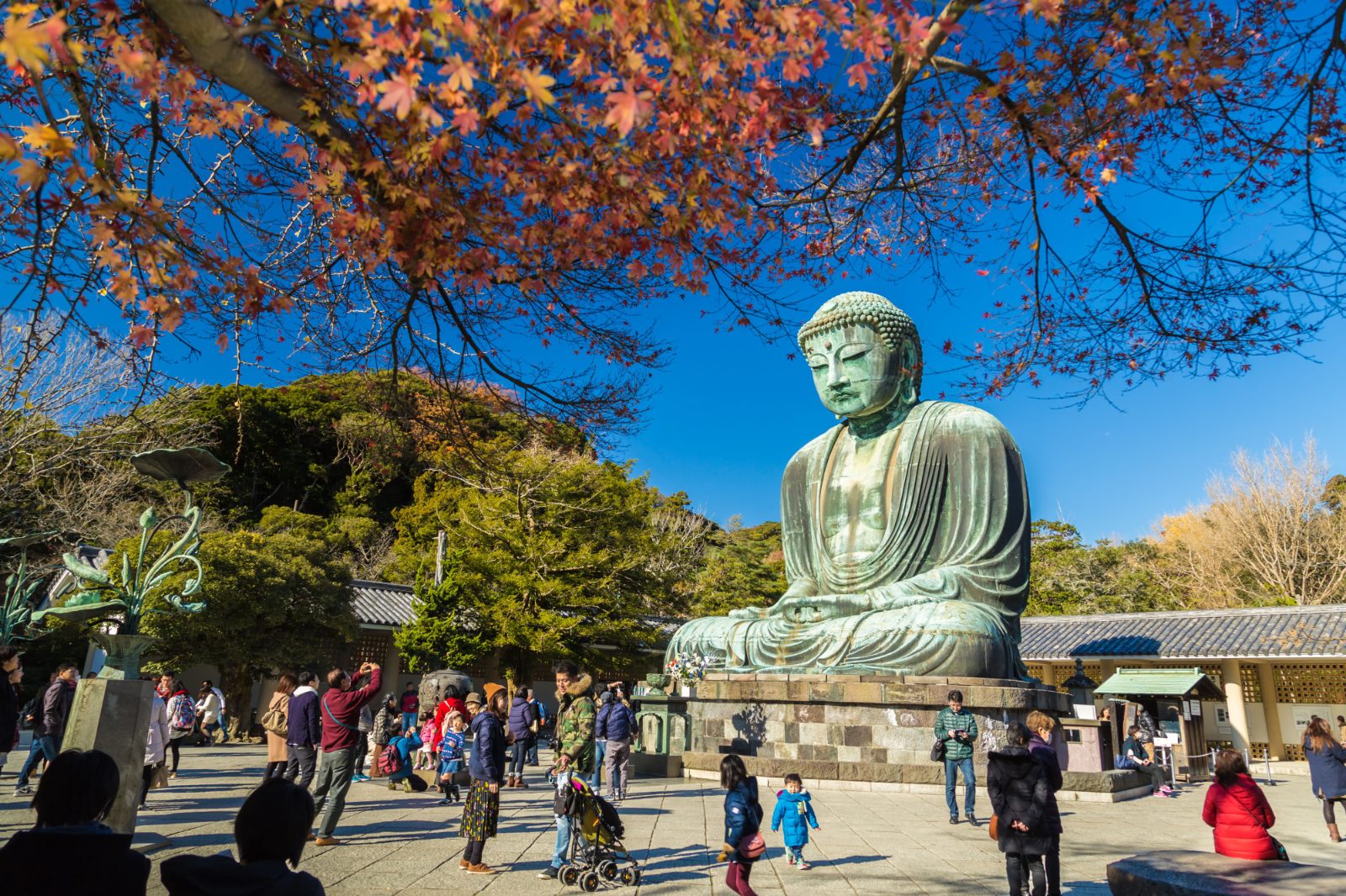 Your experience at Mt Fuji Kamakura Day Trip