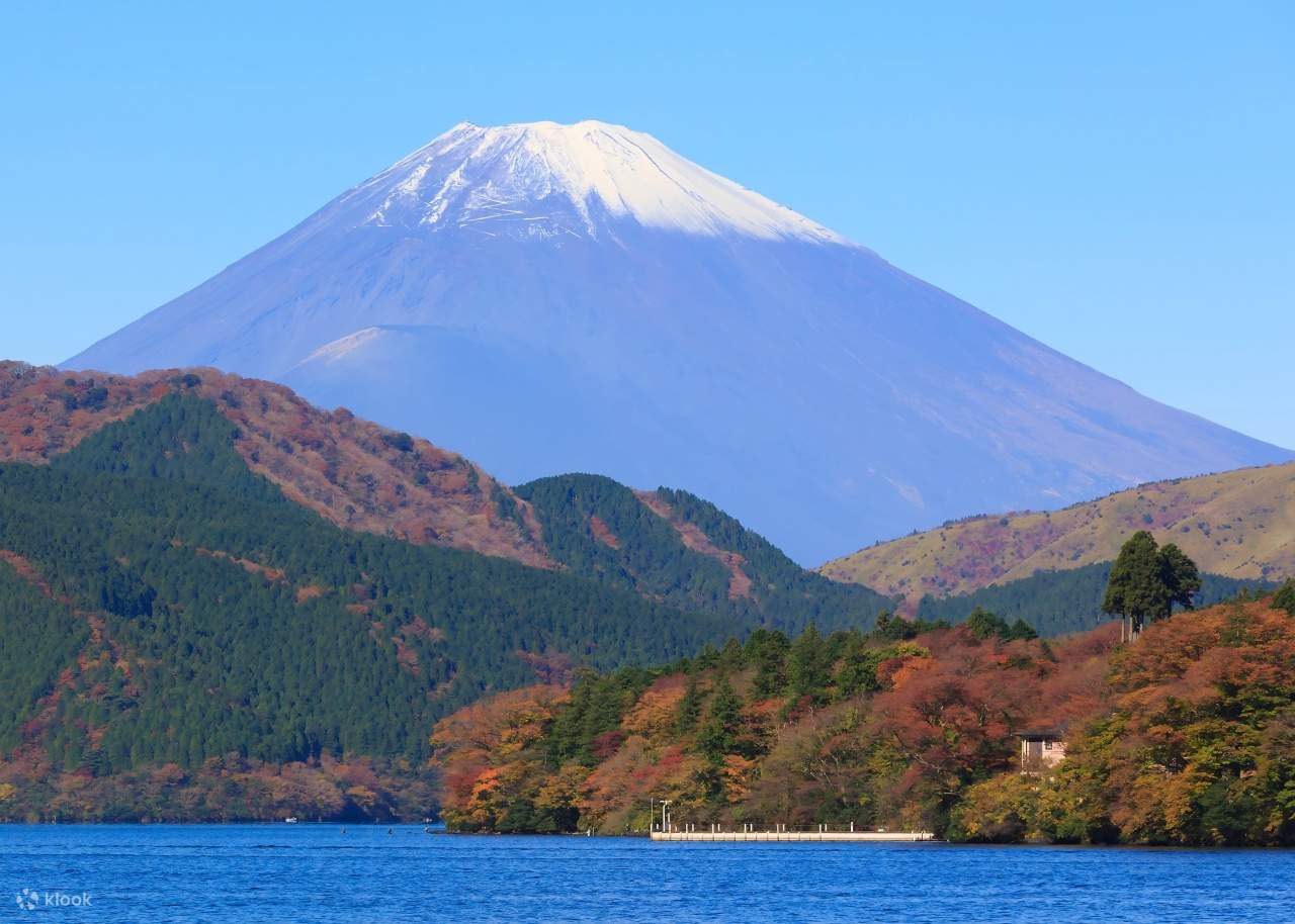 Mt Fuji Kamakura Day Trip