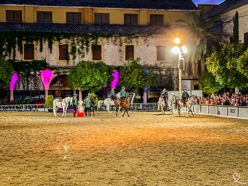 Cordoba Equestrian Show