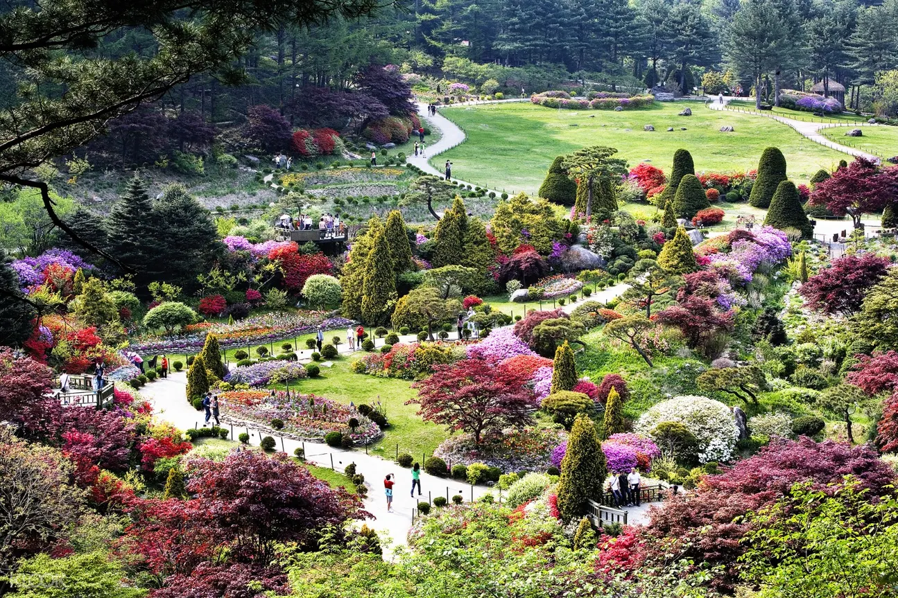 Your experience at Nami Island Garden of Morning Calm Tour