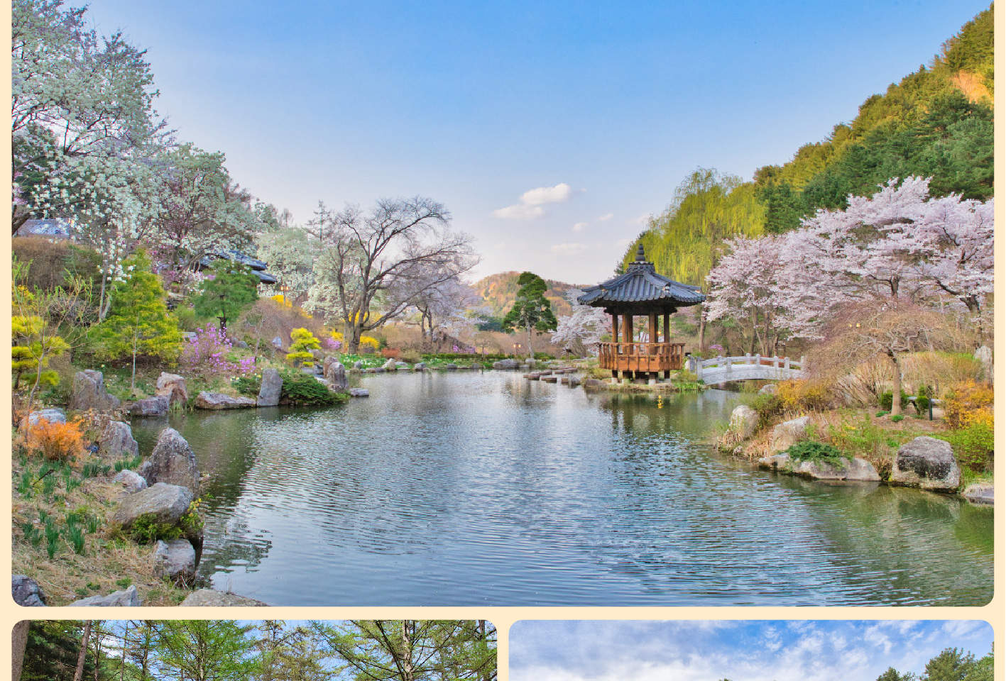 Nami Island Garden of Morning Calm Tour