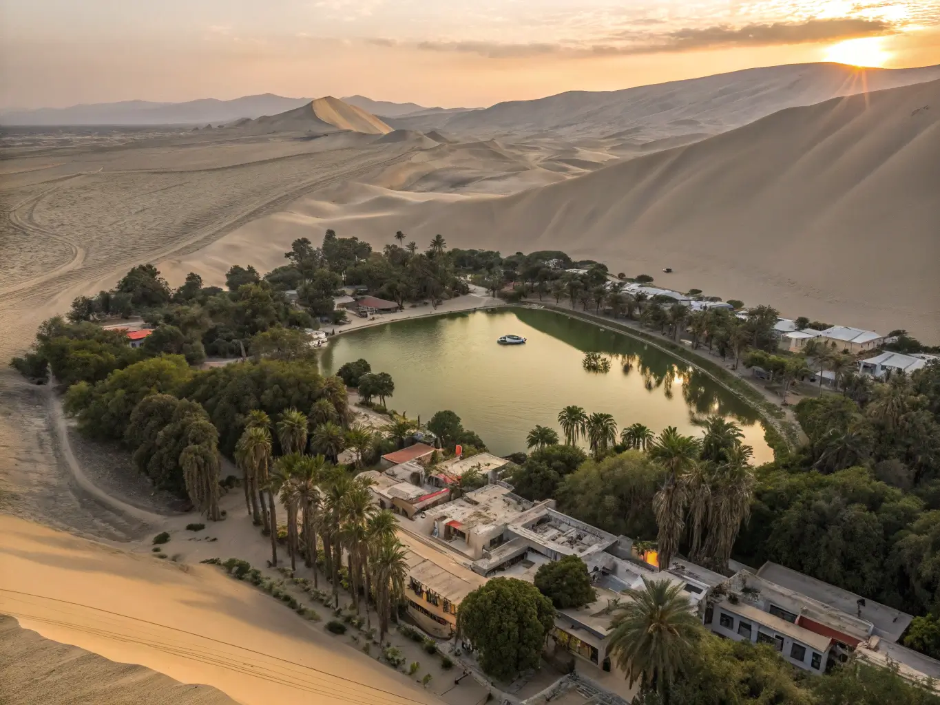 Paracas to Huacachina Tour: Desert Oasis Experience