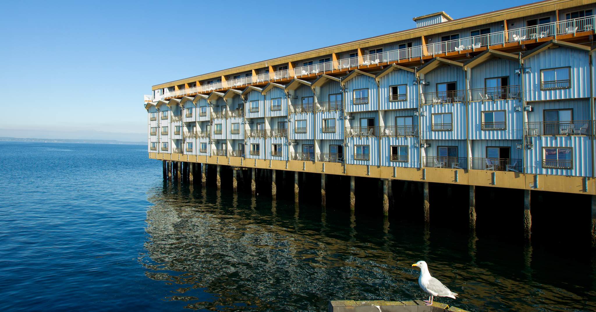 The Edgewater Hotel